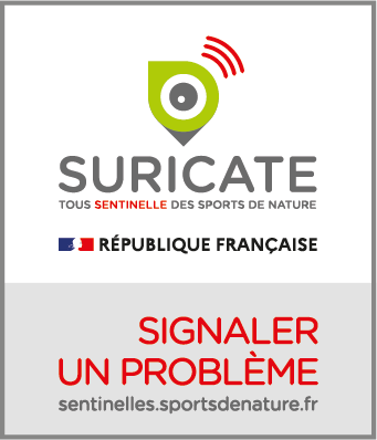 Suricate vertical