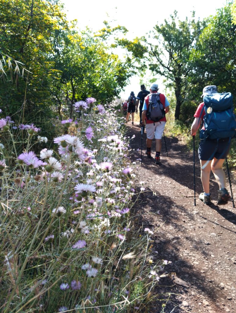 EN 2026 : DEVENEZ ANIMATEUR DE RANDONNÉE